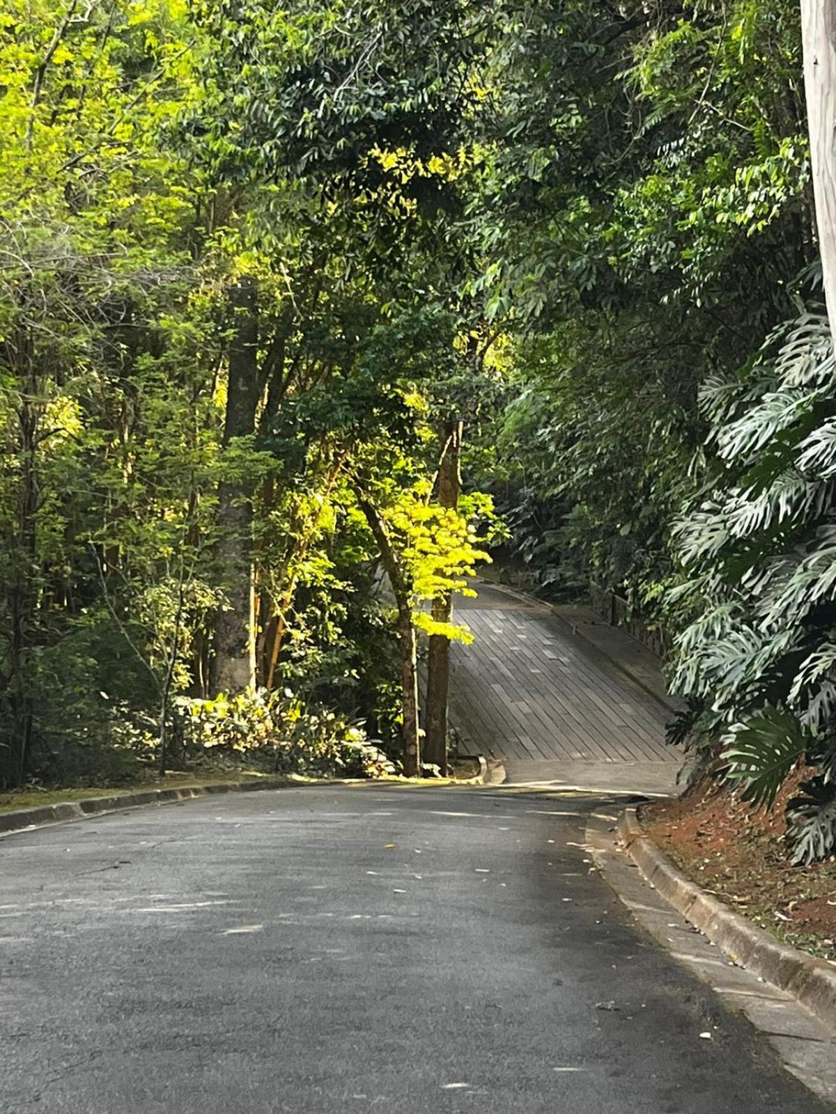 Maravilhoso Studio - Granja Brasil Itaipava Petrópolis Екстериор снимка